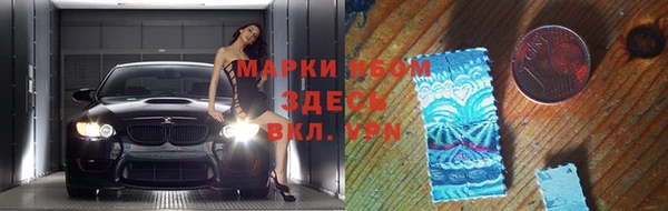прущие грибы Алзамай