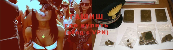 прущие грибы Алзамай