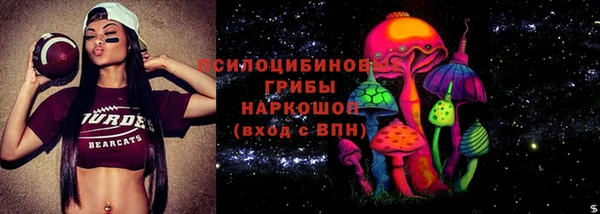 прущие грибы Алзамай