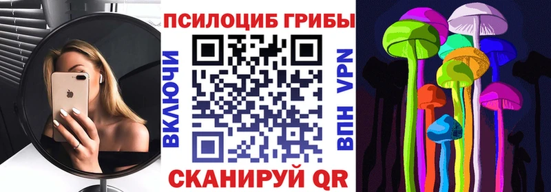 Псилоцибиновые грибы Psilocybe  гидра вход  Сусуман 